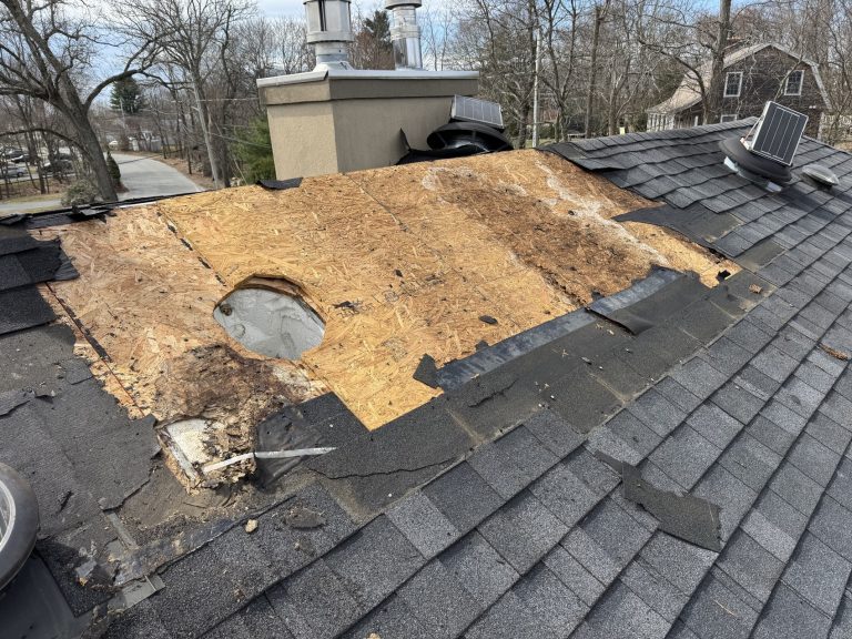 Roof Repair Options