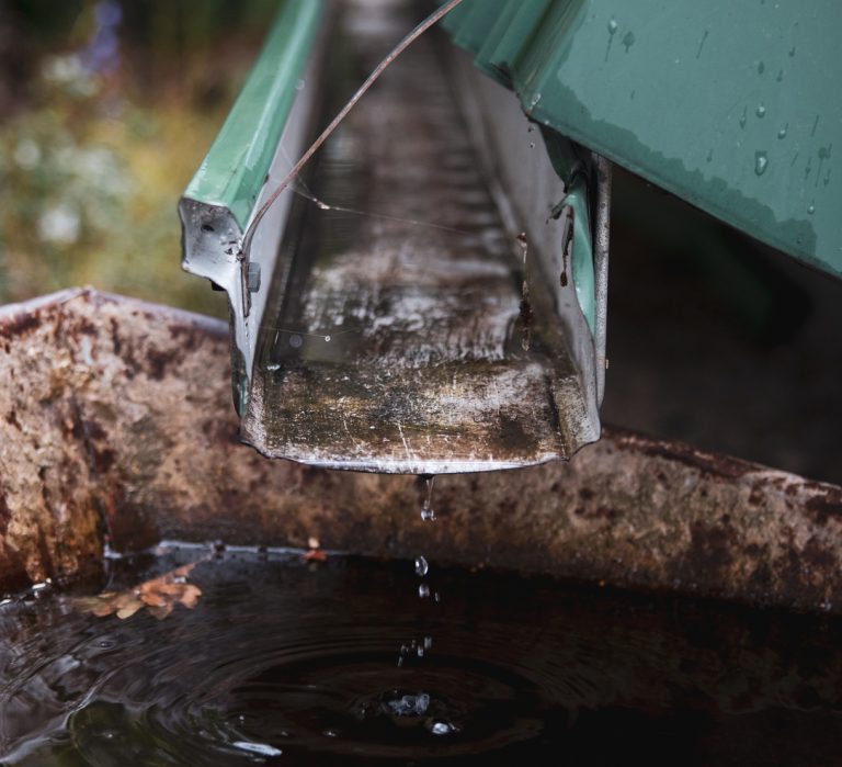 Gutter Cleaning