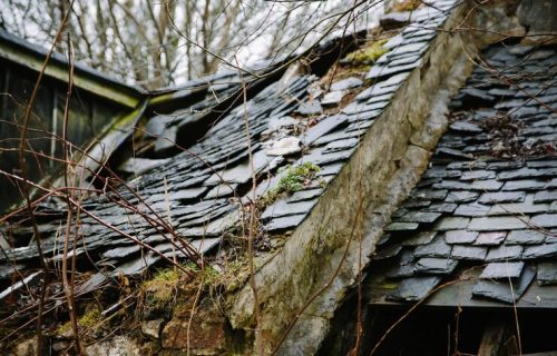 Roof Repairs & Restoration